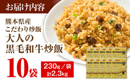 熊本県産 こだわり炒飯 大人の黒毛和牛炒飯 計2.3kg (230g×10)[BHCS003]