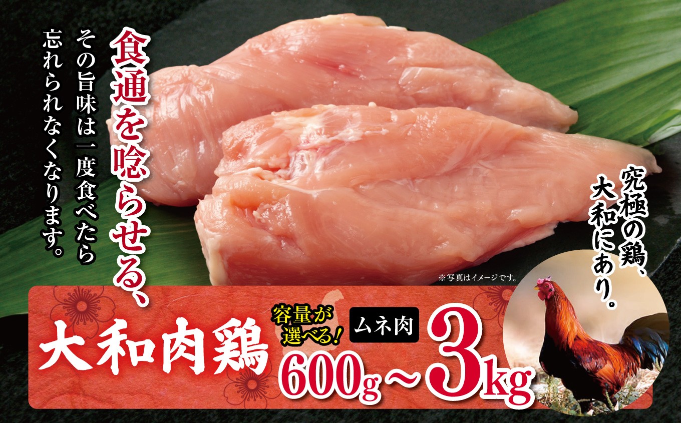 
                  大和肉鶏 ムネ肉 600g～3kg | 大和かしわ 鶏 肉 にく むね かしわ 鶏肉 とり 奈良県 大淀町
                