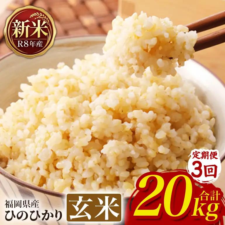 【3回定期便】 ひのひかり 米 お米 玄米 20kg 令和8年産 新米 【JA福岡くるめ にじの耳納の里】 A01-011-BW03-320