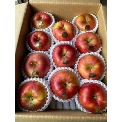 
            ＜令和7年10月中旬頃発送開始＞青森りんご「葉取らずシナノスイート」約3kg【1292917】
          