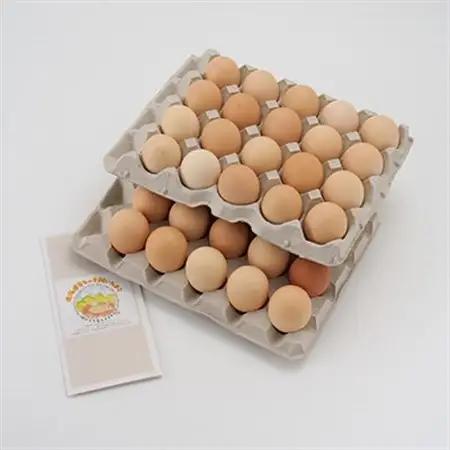 【北海道産】毎日食べたくなる平飼いたまご40個_卵・乳製品 卵  たまご タマゴ 玉子_【配送不可地域：離島】【1215857】