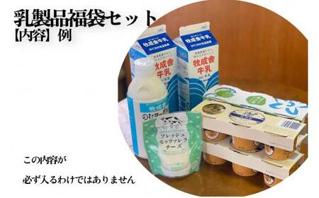 牧成舎  ”何が届くかお楽しみ！”  福袋  | 訳あり 乳製品 ギフト 詰め合わせ  乳製品 DF005　FN-Limited-PR