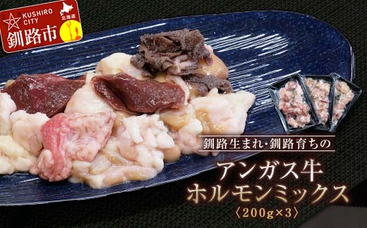 釧路生まれ、釧路育ちのアンガス牛ホルモンミックス 200g×3 国産 ホルモン 牛 牛肉 国産 ホルモン ハツ モツ 冷凍 焼肉 もつ鍋 煮込み 小分け 北海道 F4F-3320