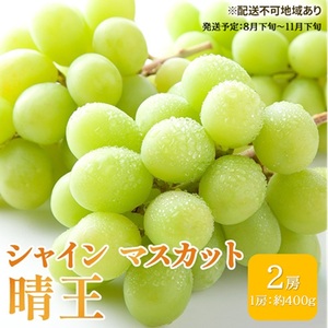 シャインマスカット 晴王 岡山県産 シャインマスカット【約400g×2房】【先行予約】