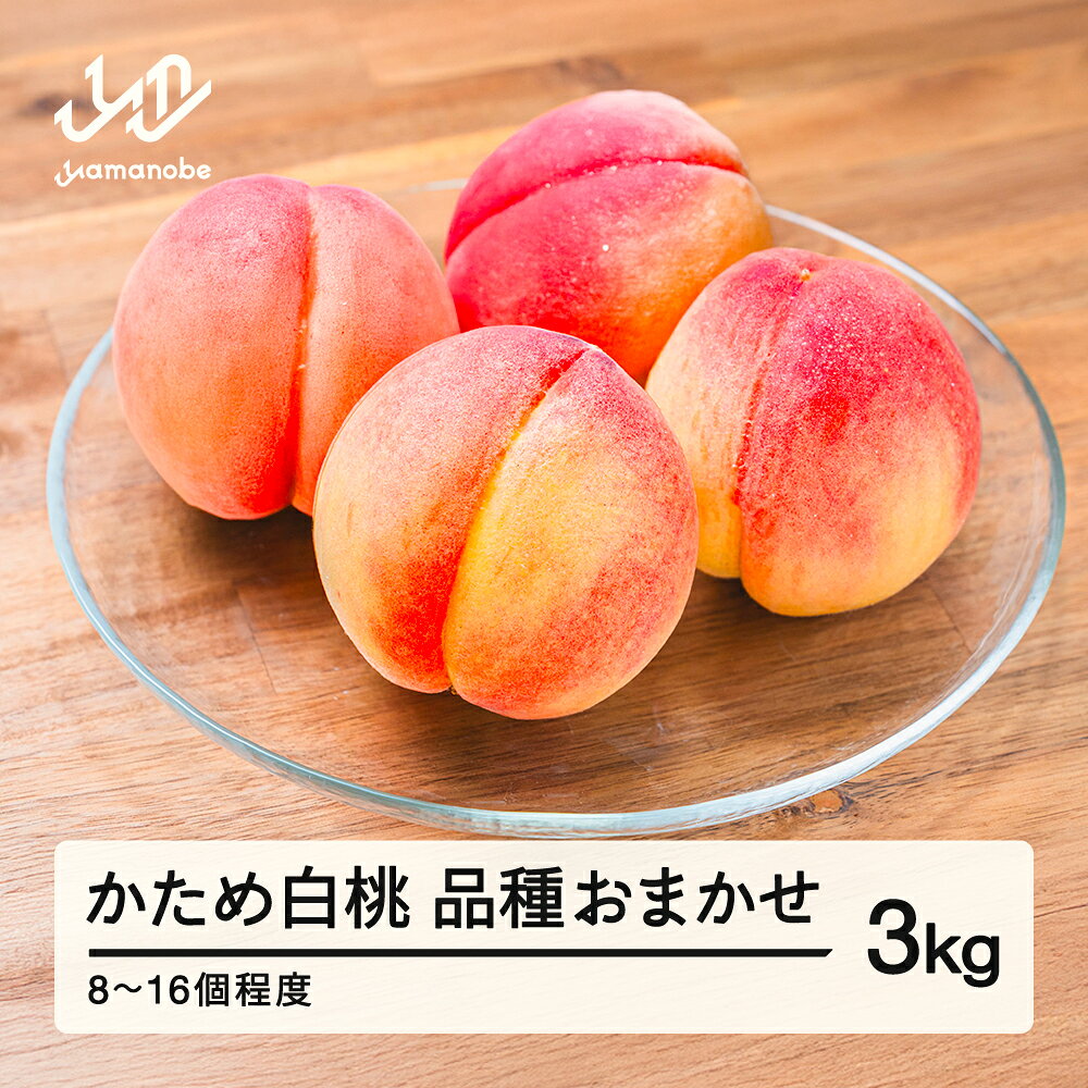 【ふるさと納税】かため白桃おまかせ もも 桃 品種おまかせ 約3kg 令和8年産 2026年産 果物 mm-mokox3000 ※沖縄・離島への配送不可