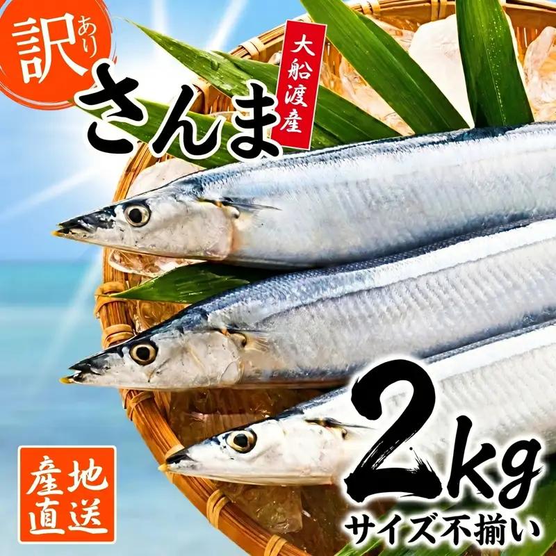 期間限定 訳あり さんま 2kg