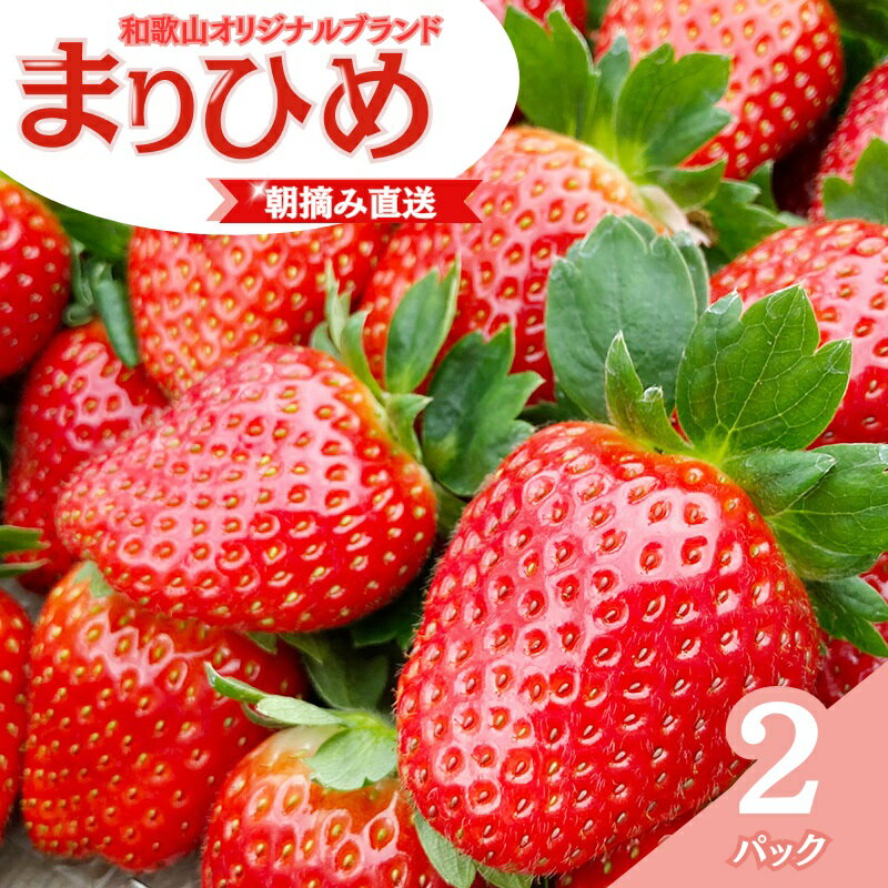 【ふるさと納税】 【先行予約】特大まりひめ いちご 朝摘 6個〜11個入り×2パック 2026年1月中旬～2026年3月末頃に順次発送予定（お届け日指定不可）/ いちご 苺 まりひめ 和歌山 フルーツ 果物 くだもの