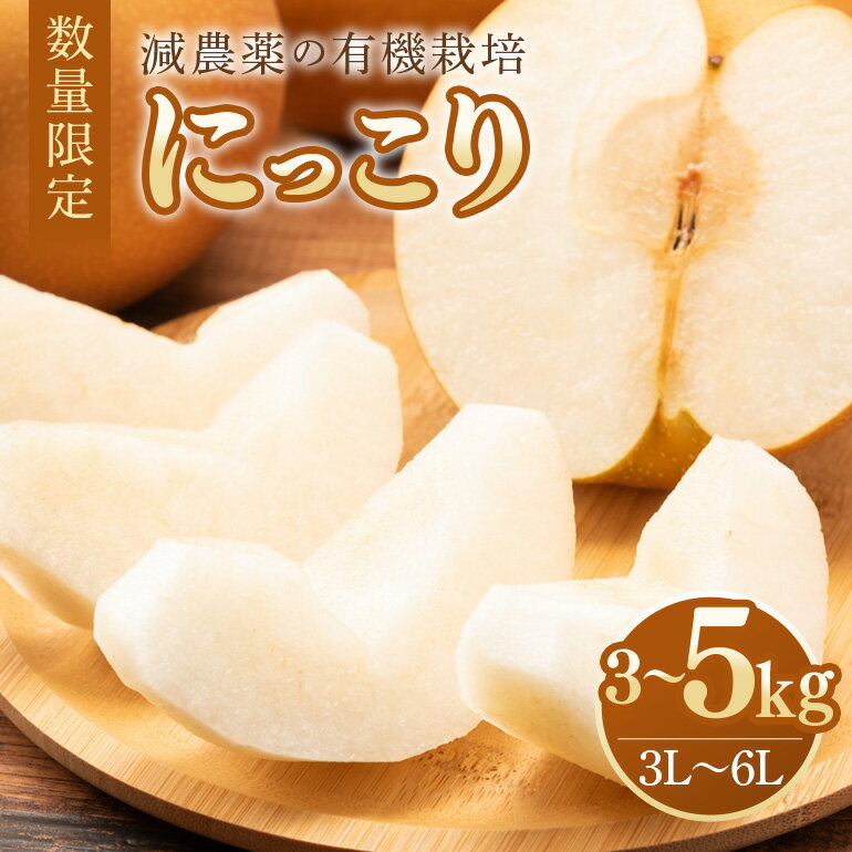 【ふるさと納税】 数量限定 2025年 先行予約 梨 にっこり 選べる内容量 3kg～5kg (3kg 3L～6L 5～8玉 / 5kg 3L～6L 7～14玉) なし ナシ 果物 フルーツ 国産 数量限定 先行予約 【10月1日～11月末発送予定】 70-SKU-C