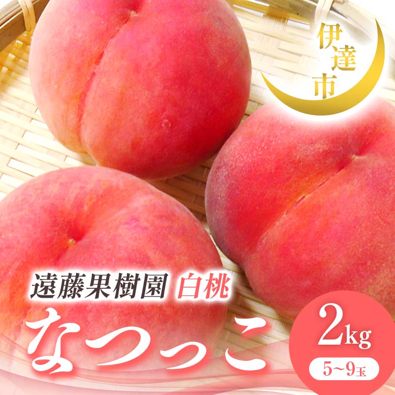 【ふるさと納税】2025年出荷分 先行予約 福島県産 なつっこ 2kg 2025年8月上旬〜2025年8月中旬発送 先行予約 予約 伊達の桃 伊達市 桃 贈り物 贈答 ギフト もも モモ 果物 くだもの フルーツ 国産 食品 F21C-006