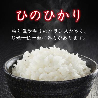 ふるさと納税 神埼市 【令和7年産】ひのひかり 精米 10kg【3ヶ月定期便】農園(H061A57) |  | 01
