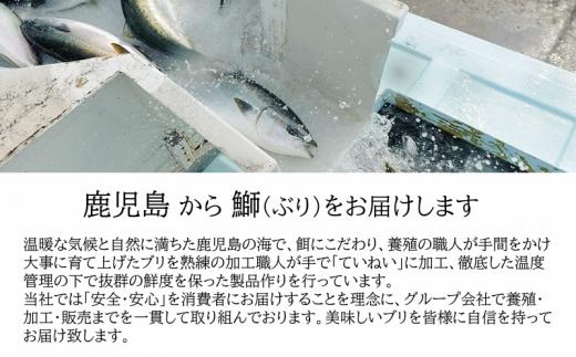 【鹿児島産ぶり】冷凍・ぶり皮無ロイン（背腹計2p）