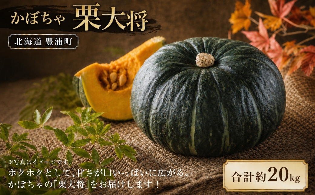
                  【先行予約】北海道 豊浦町 かぼちゃ 栗大将 約20kg （1箱5～7玉）約10kg×2箱　【2026年9月上旬発送開始】  カボチャ 南瓜 野菜 煮物 天ぷら
                