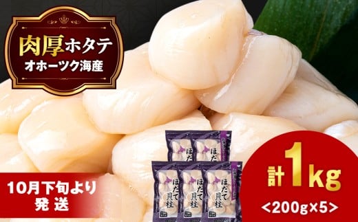 【10月下旬以降発送】 ほたて 貝柱 冷凍 200ｇ(15粒前後)×5パック お取り寄せ 刺身 《横田水産》