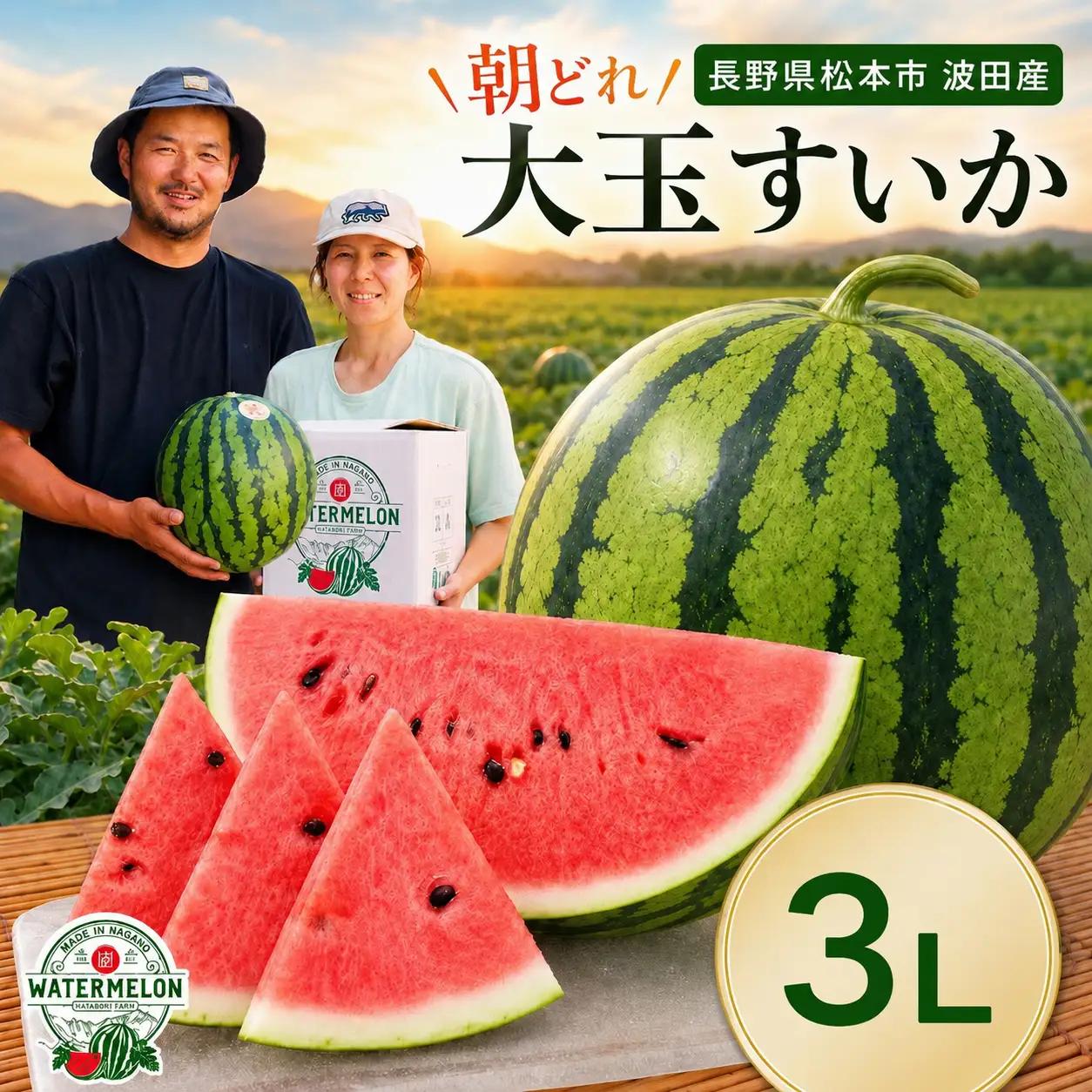 【先行受付：2027年発送】松本市 波田産 大玉すいか ３L