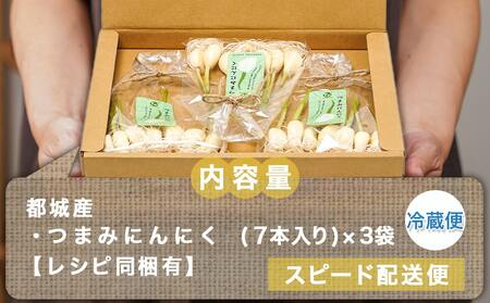 スーパーフード!つまみにんにく 7本入り×3袋※冷蔵≪みやこんじょ特急便≫_LE-C901-Q_(都城市) 水耕栽培 発芽（スプラウト） 鉄分 亜鉛 カルシウム GABA ミネラル 体づくり