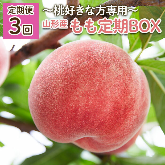 【ふるさと納税】【定期便3回】〜桃好きな方専用〜もも定期BOX〜 【令和7年産先行予約】FU22-019くだもの 果物 フルーツ 山形 山形県 山形市 お取り寄せ 2025年産