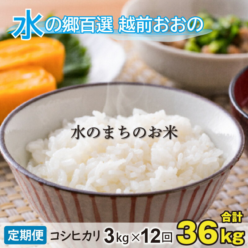 【ふるさと納税】【令和7年産 新米】【12ヶ月定期便】こしひかり 3kg×12回 計36kg【白米】「エコファーマー米」水のまちのお米 【定期便・お米・コシヒカリ】[E-003002]