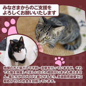 ≪お礼品なし≫保護猫 活動支援(1口：5,000円) 猫 ねこ ネコ 地域猫 野良猫 のらねこ さくら猫 保護 支援 保護猫活動 里親 動物保護 保護活動支援 ペット保護 支援活動 返礼品なし ボラン