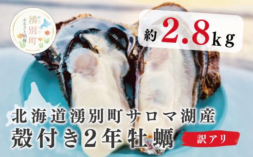 【国内消費拡大求む】≪先行予約2024年11月中旬から発送≫殻付きカキ訳あり2.8㎏　かき　牡蠣　貝付き　海産物　海鮮　生　加熱　蒸し　オホーツク　北海道　サロマ湖　湧別町