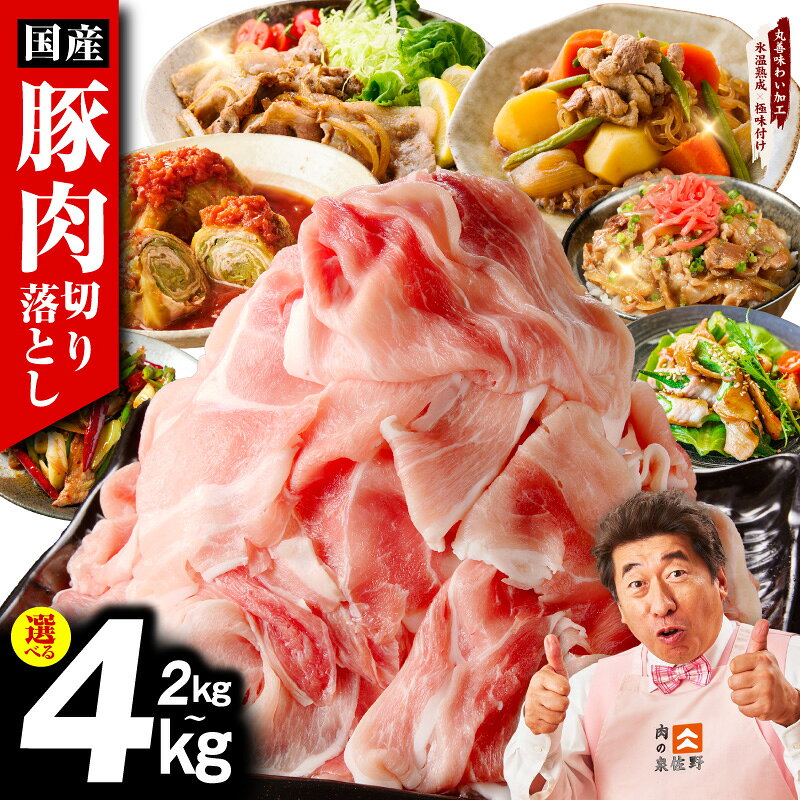【ふるさと納税】最短翌日発送 国産豚肉 切り落とし 2kg / 3kg / 4kg 氷温熟成 極味付け 1P 500g 豚 肉 豚肉 熟成肉 国産 カレー 野菜炒め 豚丼 豚汁 発送月 訳あり 冷凍 ストック 時短調理 5営業日 大阪府 泉佐野市 送料無料 肉の泉佐野