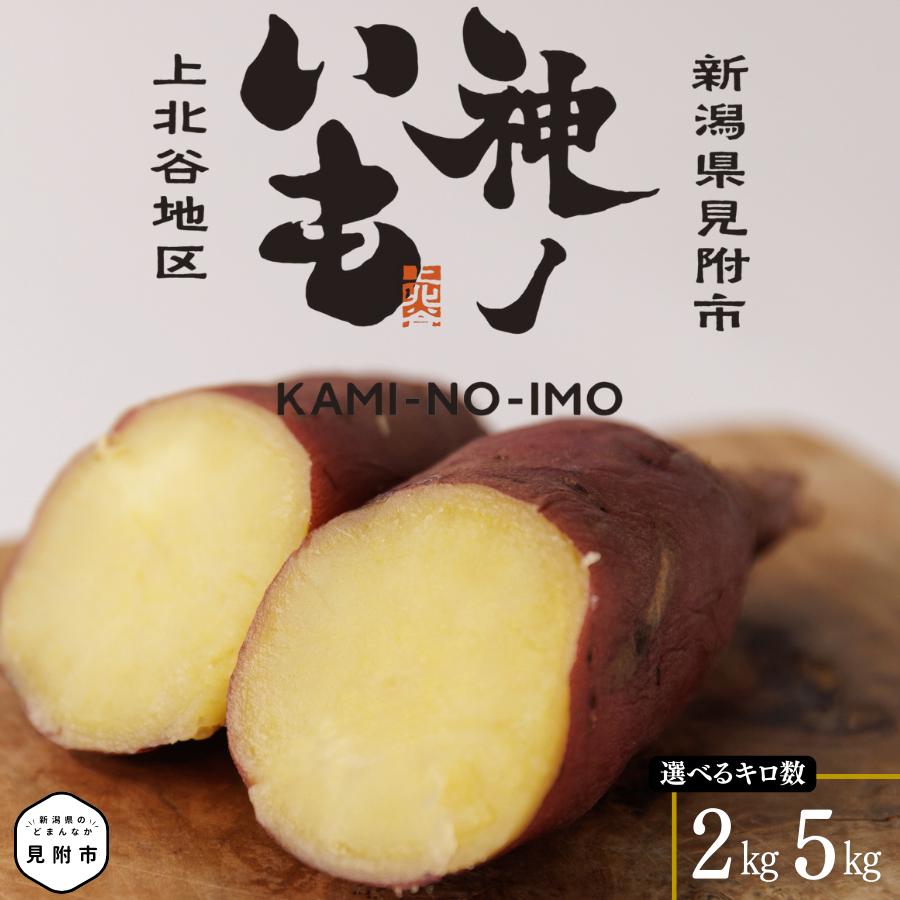 
【予約商品】 神ノいも （生）さつまいも 紅はるか 選べる 2kg or 5kg 熟成 べにはるか 農家直送 新潟県 見附市 上北谷地区 送料無料
