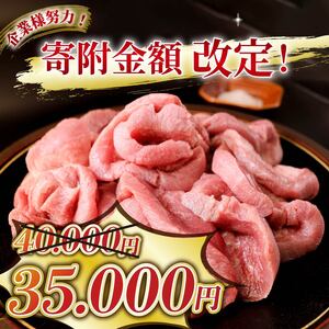 厚切り 牛タン 塩味 1kg(250g×4パック) 昆布根藻塩使用 冷凍 ステーキ 大船渡市