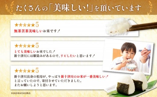 【令和7年度産】 食味ランキング「特A」ななつぼし精米定期便 (10ｋｇ×12回)