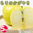 【ふるさと納税】50-C　伊藤りんご園　もりのかがやき　5kg｜りんご リンゴ 林檎 果物 くだもの フルーツ 福島県 会津坂下町 12～14玉 蜜　※2024年10月上旬頃より順次発送予定