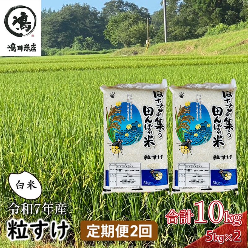 【ふるさと納税】令和7年産 粒すけ 定期便2か月　白米　10kg お米