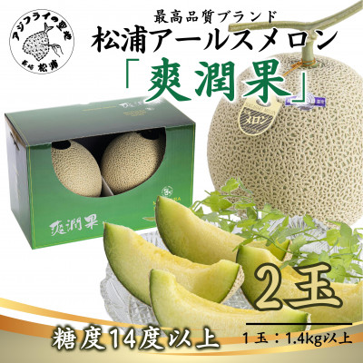 高貴で芳醇な香りと濃厚でとろける甘みの　　松浦アールスメロン「爽潤果(そうじゅんか)」2玉【1306421】