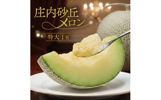 特大庄内砂丘メロン(青肉) 2.2～2.5kg 1玉 つる付き SA2890
