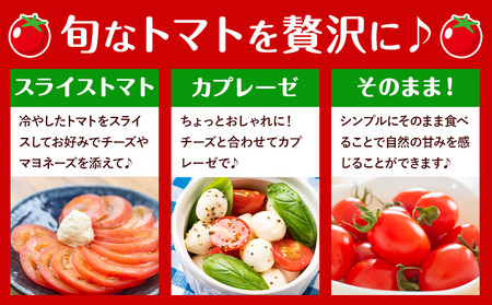 トマト小箱約2kg+ミニトマト小箱約1.5kg食べ比べ《10月上旬-6月下旬頃出荷》野菜新鮮