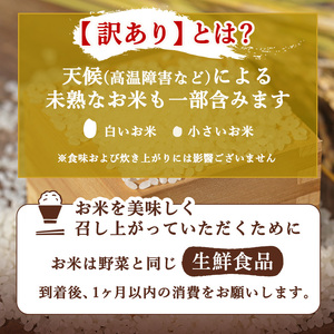 無洗米 訳あり プレミアムブレンド 無洗米【3kg】【定期便 6ヶ月】