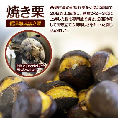 ふるさと納税 西都市 低温熟成栗使用!焼き栗 2パック 合計500g　【先行受付】[2326] |  | 02