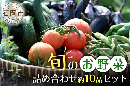 石岡の旬野菜詰め合わせ 約10品目 新鮮野菜セット (B01-001)