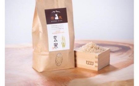 玄米（コシヒカリ）5kg 　玄米　米　お米　ごはん　G-85  奈良 なら