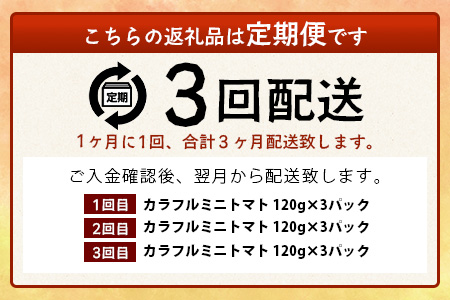 【3回定期便】【先行受付】2027年1月より順次発送予定【少量パック】カラフルミニトマト 360g (120gx3p) プチトマト 野菜 農家直送 佐賀県鹿島市 たにぐちファームRicotomato～とりこになるトマト～　D-241