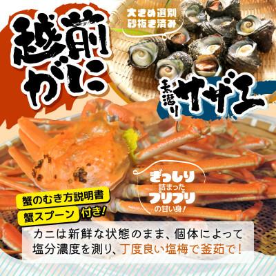ふるさと納税 美浜町 《順次発送》はるか丸が厳選“訳あり”【越前がに大サイズ1杯】とれたて冷蔵でお届け |  | 02