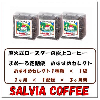 ふるさと納税 館山市 【毎月定期便】まめーる店主おすすめセレクト200g【豆】全3回