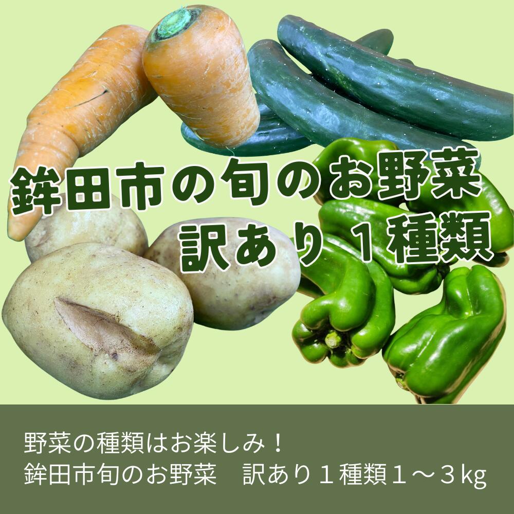【ふるさと納税】鉾田市旬のお野菜 訳あり（1種類1～3kg）