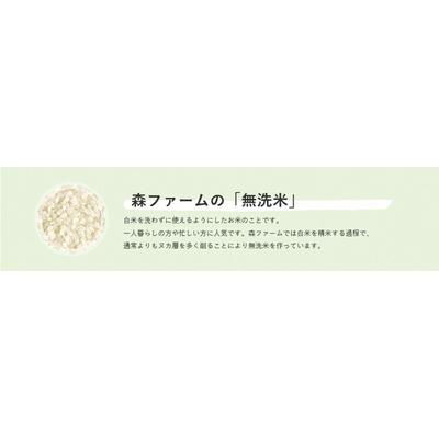 ふるさと納税 古河市 スプリングライス ミルキークィーン (無洗米)10kg | 米 こめ コメ 10キロ _BI37 |  | 03