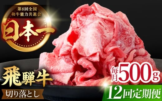 【 12回定期便 】【 飛騨牛 】 切り落とし 総計 6kg 〈 1回あたり 〉500g ( 250g×2 ) 肉 飛騨牛 和牛 ブランド牛 高級 国産牛 黒毛和牛 ビーフ 牛 牛肉 きりおとし 切り落とし 切り落し / 多治見市 / 肉のひぐち [TDC012]