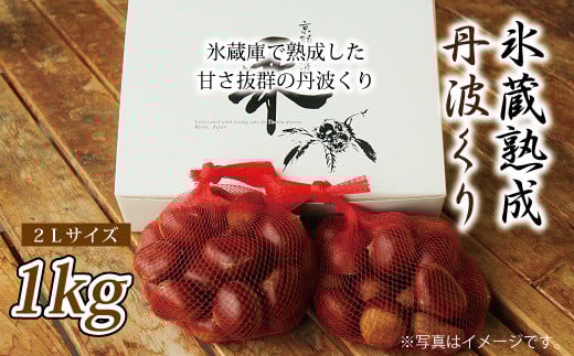 京都・京丹波町産　栗　氷蔵熟成・丹波栗　1kg　 [012IW002L]