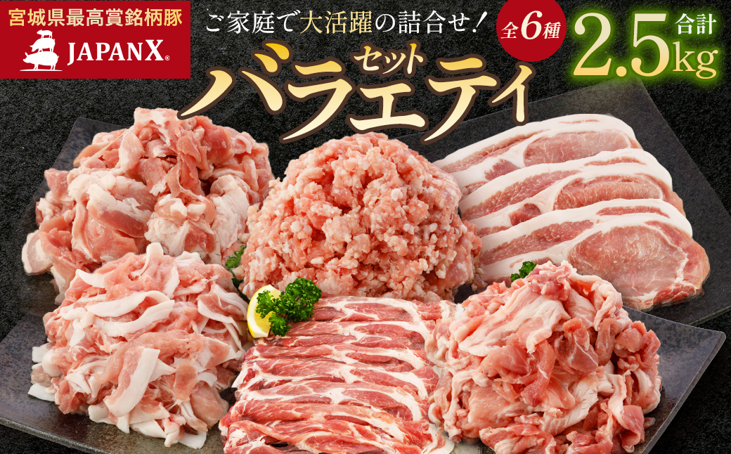 JAPAN X バラエティセット 第2弾 6種 2.5kg　豚肉 豚 ブランド豚 小分け バラエティセット 豚こま 豚バラ 豚ロース ひき肉 ジャパンエックス 蔵王 人気　【04301-0888】