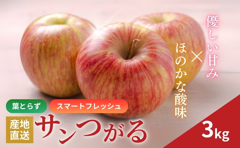 りんご 長野 スマートフレッシュ サンつがる 3kg 少人数家庭にぴったり 葉とらず 産地直送 フルーツ 果物 デザート おやつ リンゴ 林檎 さんつがる 秋 旬 スムージー ジャム 信州 長野県 長