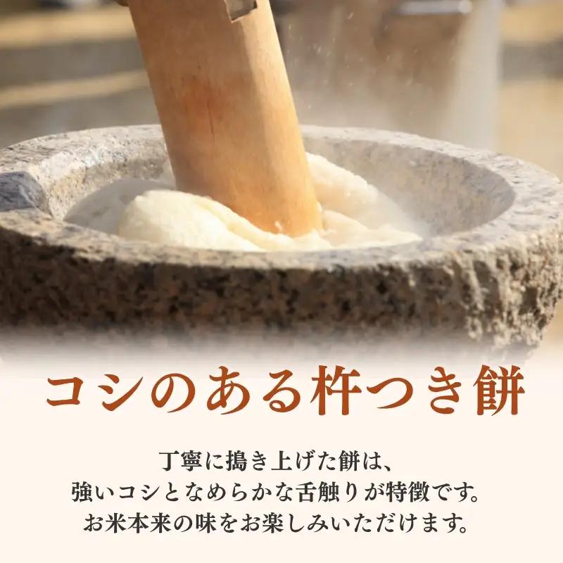 こがね姫 餅 シングルパック 10枚入 475g×2 餅