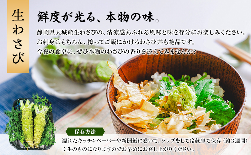 伊豆天城 丸山園 わさびセット 華 セット 詰め合わせ わさ
