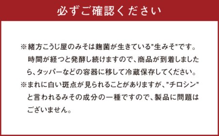 緒方こうじ屋 詰め合わせ セット 3種 合計約3.4kg 特製合みそ 米スリみそ 長期熟成みそ 味噌