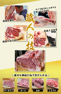 和牛 ステーキ 牛肉 牛 精肉 / 尾呂志屋精肉店の和牛サーロイン ステーキ用3枚(1枚あたり約300g)【1か月以内に順次発送】【ors014】