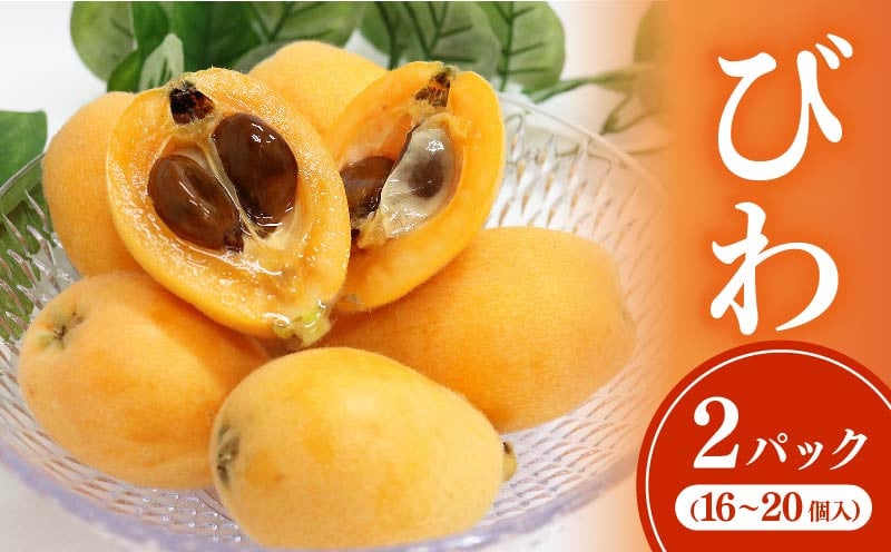
黒耳びわ　１６～２０玉（小粒・中粒）
